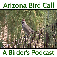 Arizona Bird Call
