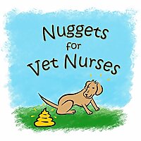 Nuggets for Vet Nurses
