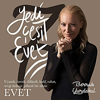 Yedi Çeşit Evet