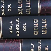 Rabbi Oster Daily Morning Chassidus Shiur