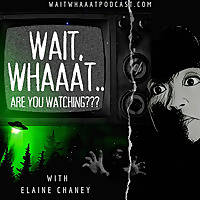 Wait, Whaaat Are You Watching