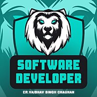 Software Developer
