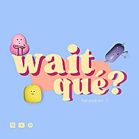 Wait, qué?