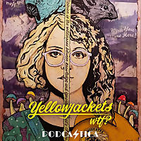 Yellowjackets wtf?