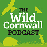 The Wild Cornwall Podcast