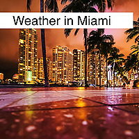 Weather in Miami