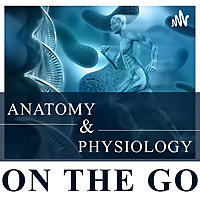 Anatomy & Physiology On The Go