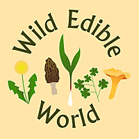 Wild Edible World: A Foraging Podcast