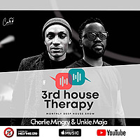 3rd House Therapy