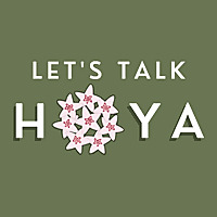Let's Talk Hoya