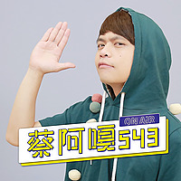 蔡阿嘎543