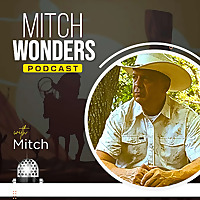 Mitch Wonders