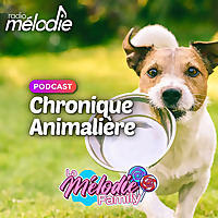 Chronique Animalière - Radio Mélodie