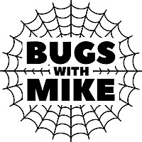 Bugs With Mike