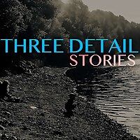 Three Detail Stories