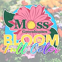 Bloom in Full Color