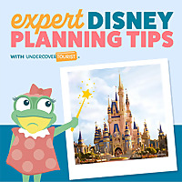 Expert Disney Planning Tips by Undercover Tourist