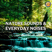 Nature Sounds & Everyday Noises Podcast