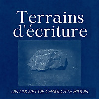Terrains d'écriture
