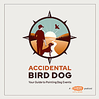 The Accidental Bird Dog Podcast