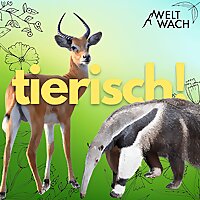 tierisch!   Zwei Forscherinnen und die wilde Welt der Tiere.