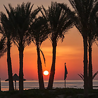 =====كلمات الحياة' ، 'الأخبار السارة' ، 'الأناشيد الإنجيلية' - اللغة الرئ