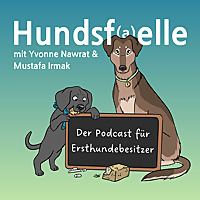 Hundsfaelle - Die Expertentipps für Ersthundebesitzer