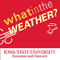 What in the Weather?