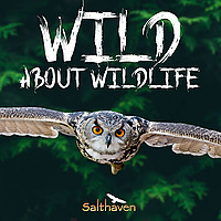 Wild About Wildlife