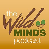 The Wild Minds Podcast