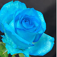 引き寄せの法則エイブラハム　スペシャリティチャンネル（悩み解消・健康・人間関係・パ