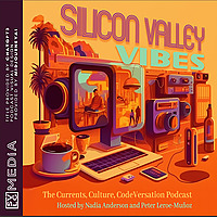 Silicon Valley Vibes