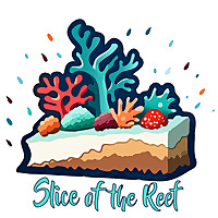 Slice of the Reef