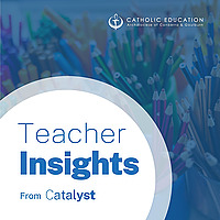 Teacher Insights from Catalyst