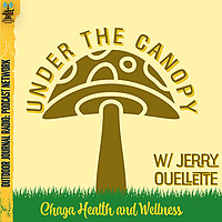 Under the Canopy