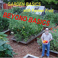 Beyond the Garden Basics