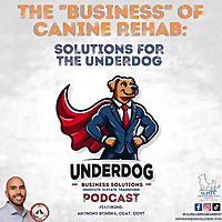 The 'Business' of Canine Rehab: Solutions for the Underdog