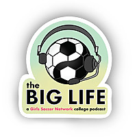 The BIG LIFE
