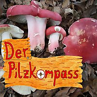 Der Pilzkompass