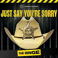 Just Say You're Sorry