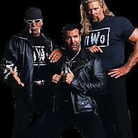 Wrestling Shoot Interviews