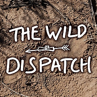 The Wild Dispatch