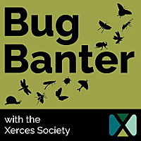 Bug Banter with the Xerces Society