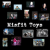 Welcome to LSD! or, The History of a Band From Delaware Named Misfit Toys