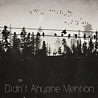 Didn't Anyone Mention?