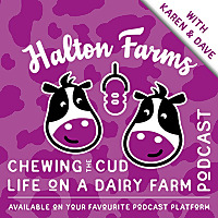 Chewing The Cud at Halton Farms