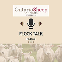 Flock Talk