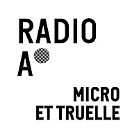 Micro et truelle, la chronique des archéologues de la Ville de Lyon