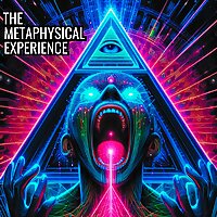 The Metaphysical Experience