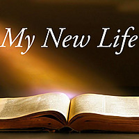My New Life